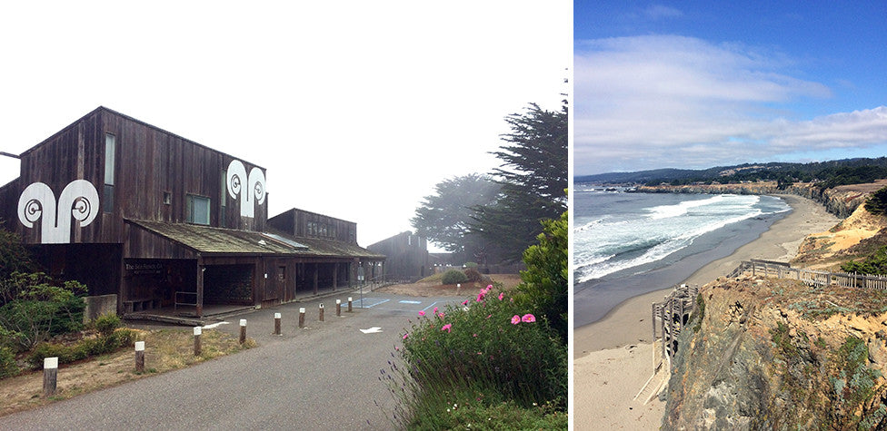 FIELD TRIP: THE SEA RANCH