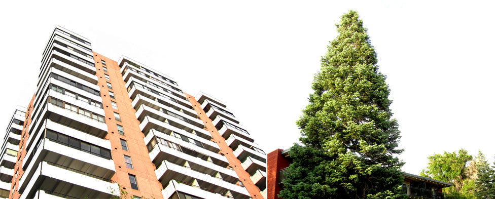 FRESH APARTMENT FACADES: 4