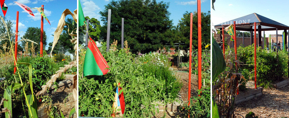 SIGNS THAT OUR NEIGHBORHOODS DON'T SUCK: FAIRMONT ELEMENTARY SLOW FOOD GARDEN