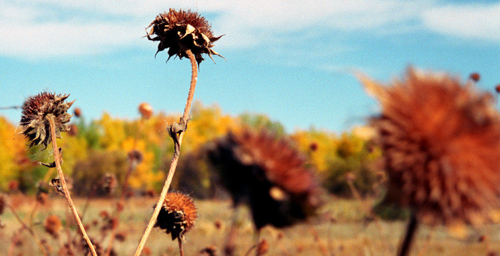 CHERRY CREEK STATE PARK: PART ONE