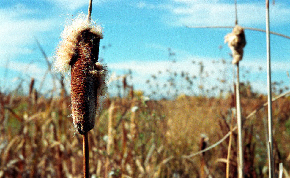 CHERRY CREEK STATE PARK: PART TWO