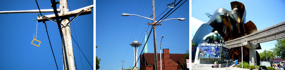 ROADRUNNER SHOEFITI: SEATTLE