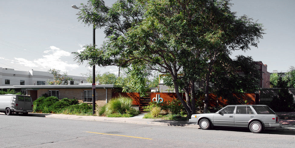 OUR WALL, AT THE END OF ITS SECOND SUMMER
