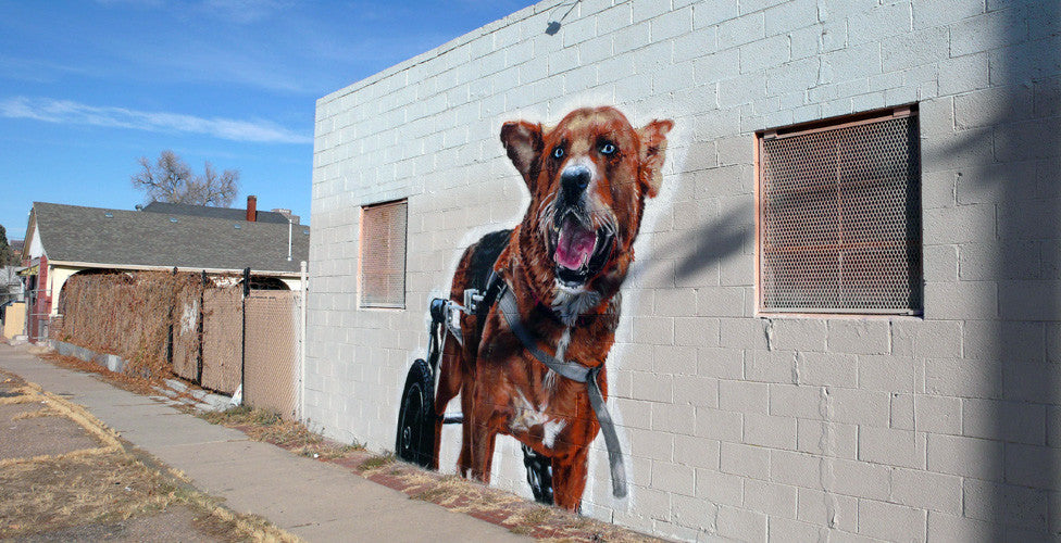 SIGNS THAT OUR NEIGHBORHOODS DON'T SUCK: MAXFUND CLINIC DOG-IN-A-WHEELCHAIR MURAL