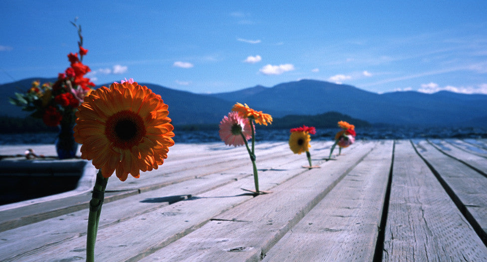 PHOTOS BY OUR MOMS: DORCAS TILLMAN, PART 3