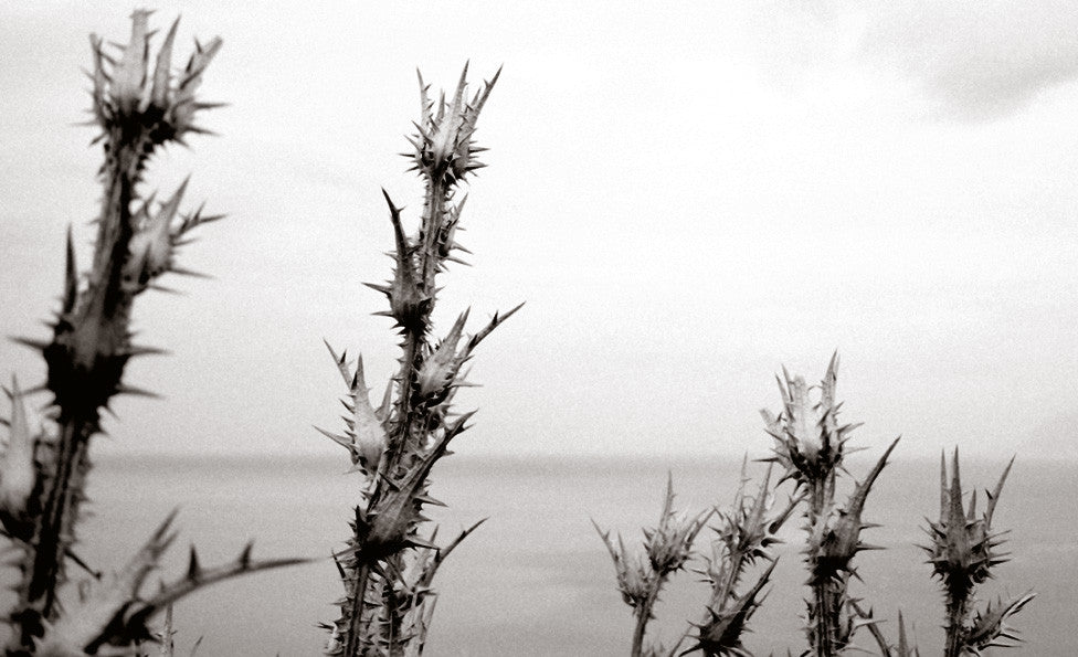 PHOTOS BY OUR MOMS: DORCAS TILLMAN, PART 5