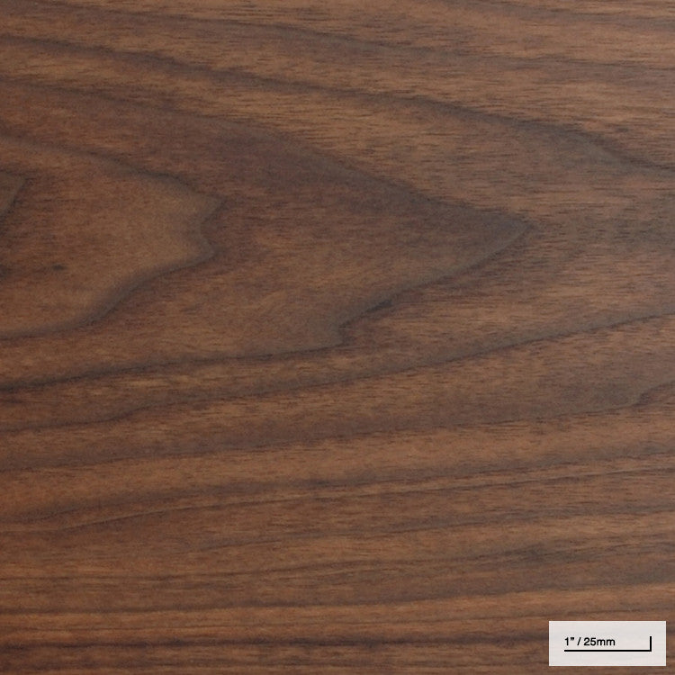 Natural Walnut - Wood Sample